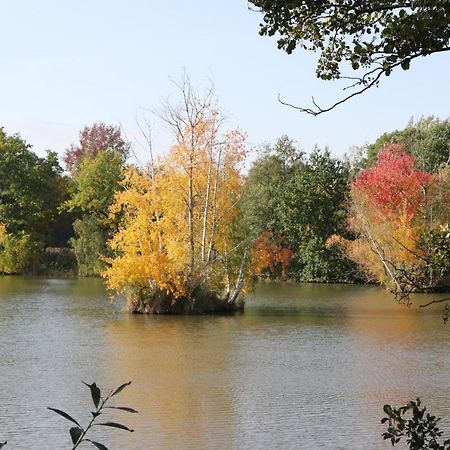 Ferienhaus "Ullersdorfer Teiche" Ullersdorf  Zewnętrze zdjęcie