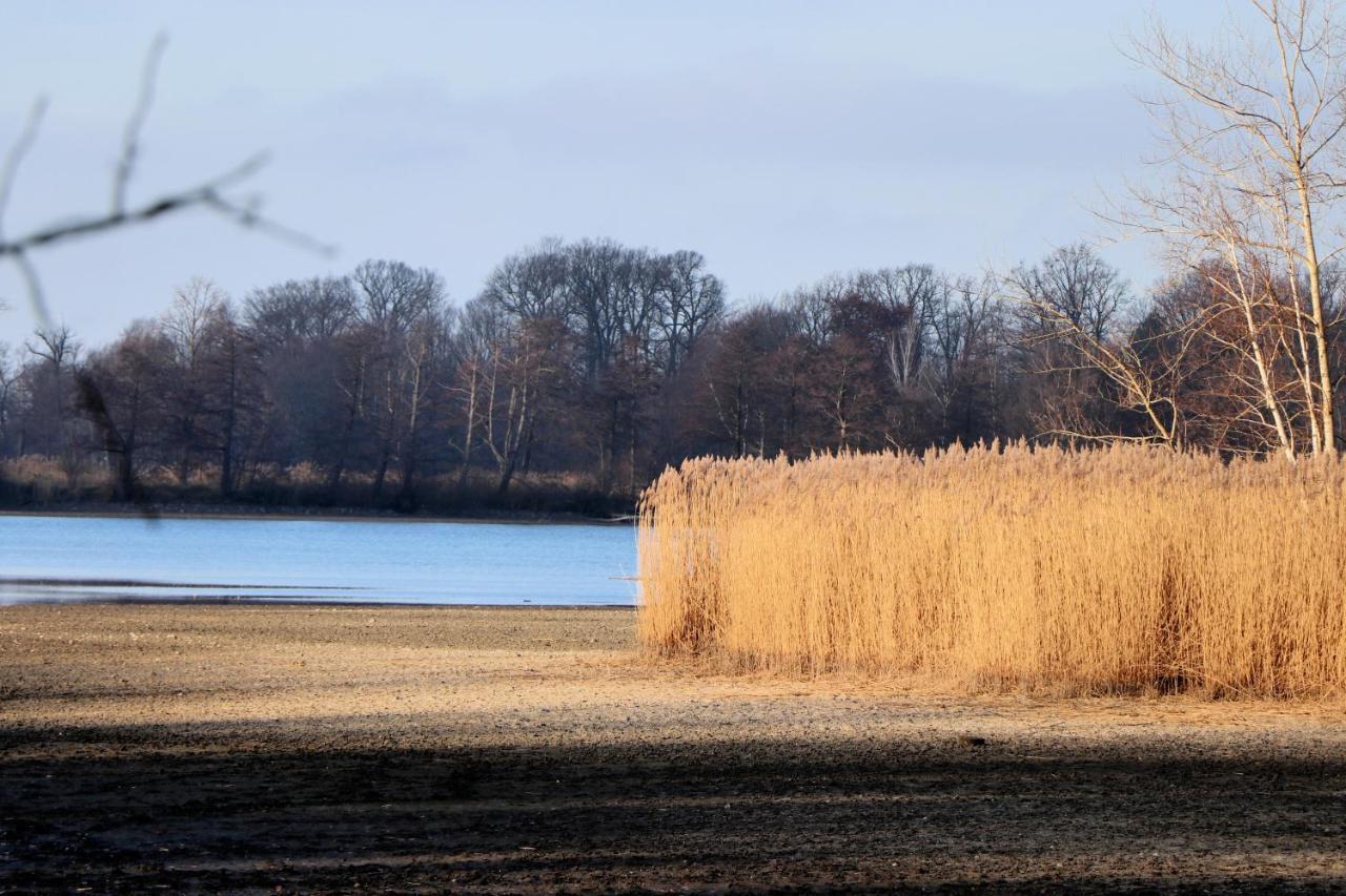 Ferienhaus "Ullersdorfer Teiche" Ullersdorf  Zewnętrze zdjęcie