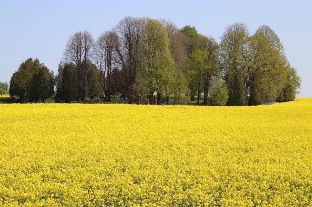 Ferienhaus "Ullersdorfer Teiche" Ullersdorf  Zewnętrze zdjęcie